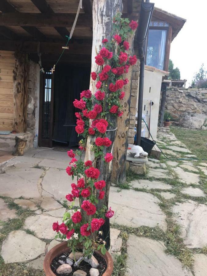Monolocal Rural Con Encanto Valbona 外观 照片